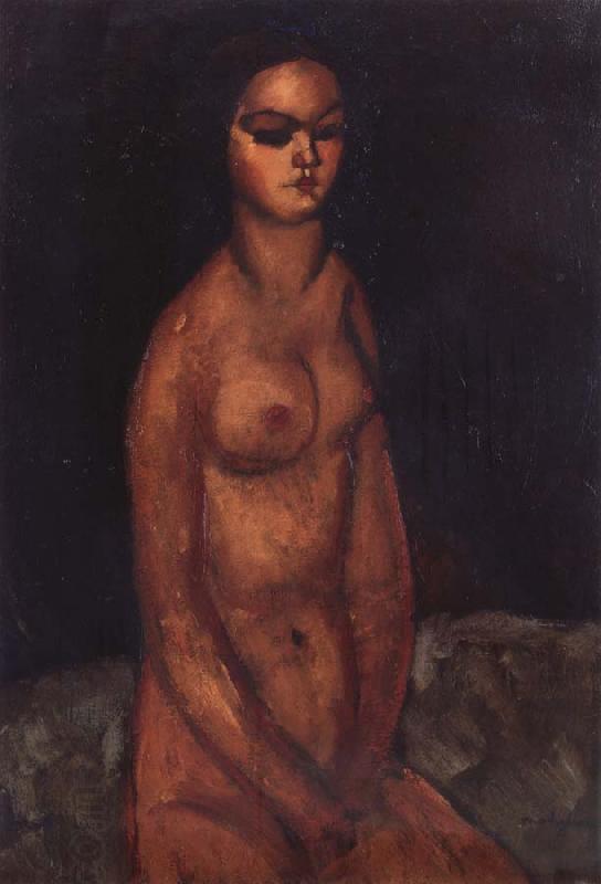 Amedeo Modigliani Nudo Seduto oil painting picture
